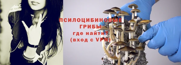 МДМА Дмитров