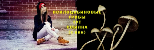 марихуана Дмитровск