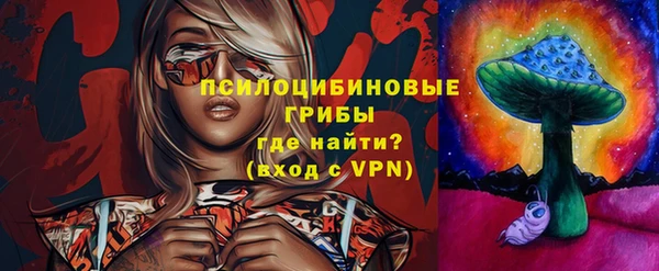 кристаллы Гусь-Хрустальный