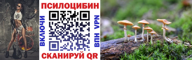 Галлюциногенные грибы мицелий  цены наркотик  Шагонар 